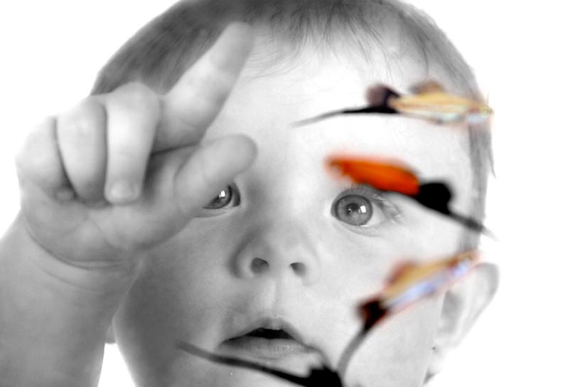 un enfant qui touche un aquarium vu depuis l'intérieur de l'aquarium