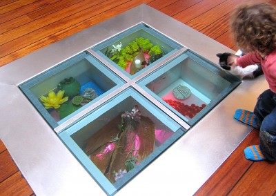 Ground aquarium