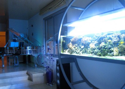 Bespoke seawater aquarium created and designed by Olivier Clavel