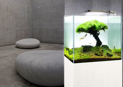 Aquarium with pared-back design