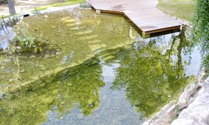 Bathing pond