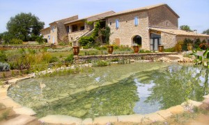 Natural bathing pond