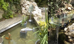 Fontaine en verre au dessus d'un bassin contenant des carpes Koï