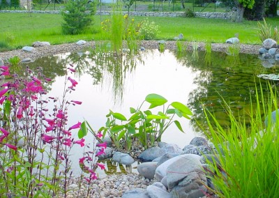 Garden pond