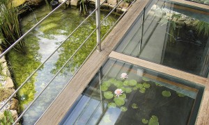 Outside pond with glass wallkway