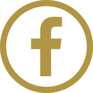 Icone Facebook