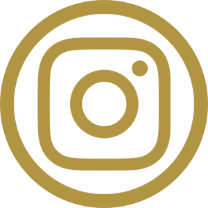 Icone Instagram